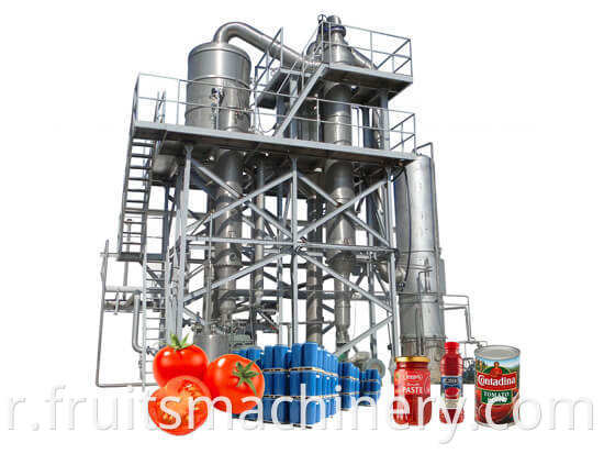 Fruits Vegetables Processing Machines For All Kinds of Production Lines